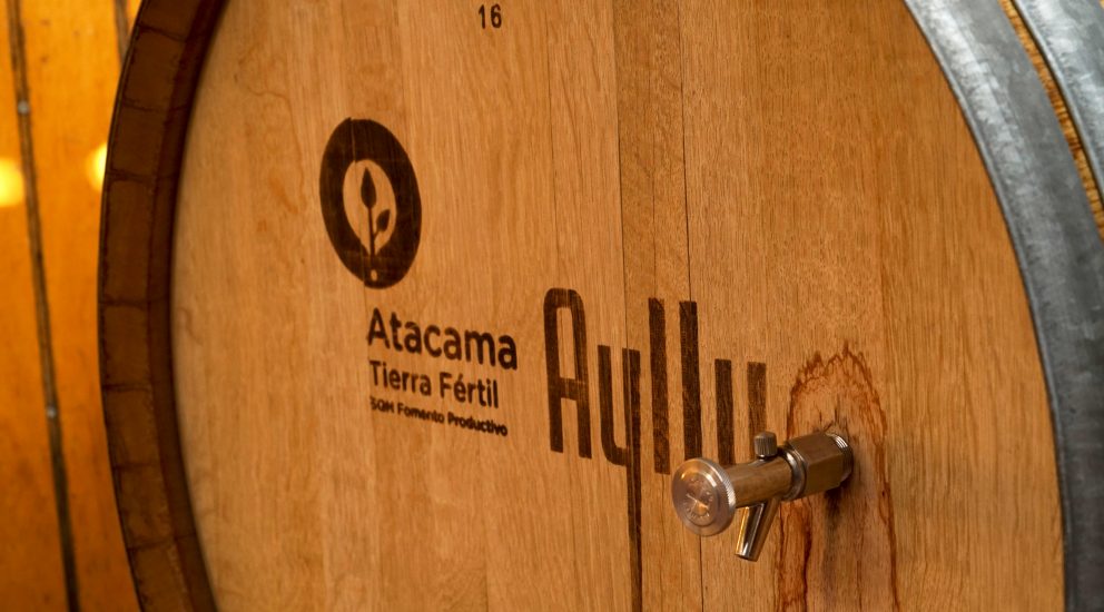 Viñateros de Toconao elaboran vinos en altura