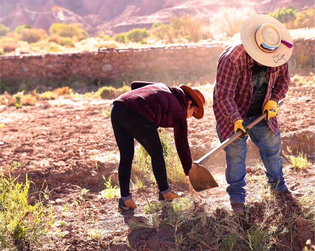 Agricultores en Atacama La Grande participan en taller de poda con SQM Litio